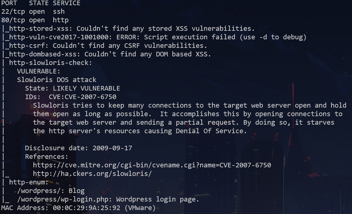 image-20250225155527773