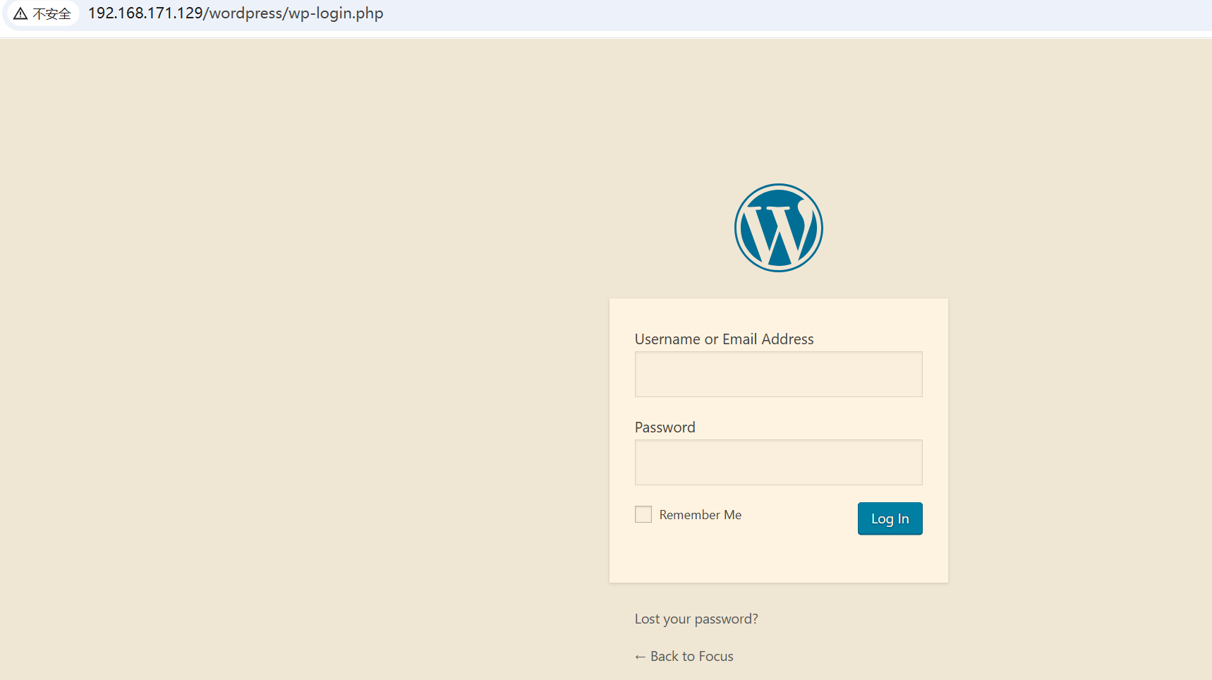 image-20250225161203324